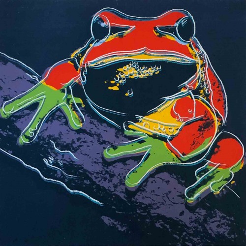 Andy Warhol | Pine Barrens tree frog | undefined available for sale on www.kunzt.gallery Andy Warhol | Pine Barrens tree frog | undefined available for sale on www.kunzt.gallery